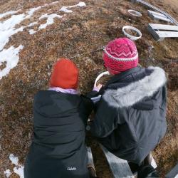 Hana Christoffersen and Mackenzie Lift look at the plants in a plot at the Barrow dry site.