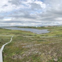 Toolik Lake