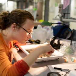 Kelly Uhlig, a graduate student, looks at a van Veen sample under the microscope at the Healy lab.