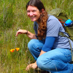 Amy Osborne and California poppy on the Banks Peninsula, New Zealand