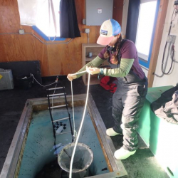 Amy Osborne begins to drop a large net with a bottle at the bottom into a hole in the ice.