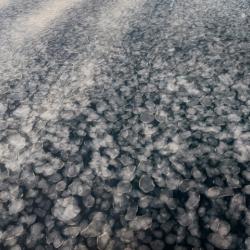 Pancake ice in the Amundsen Sea, Antarctica