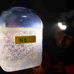 Jar of copepods