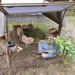 Katie with piglets