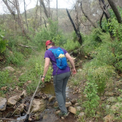 Elaine exploring a river