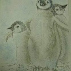 Penguin drawing