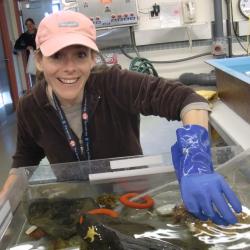 Holding an isopod