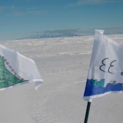 Wind flags