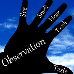 Observation