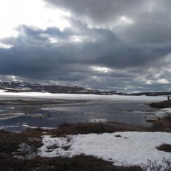 Toolik Lake 