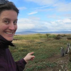 Finding some Magellan penguins