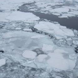 Ice on top of the lander