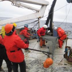 Beam trawl