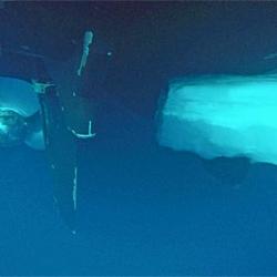 Healy propeller and rudder