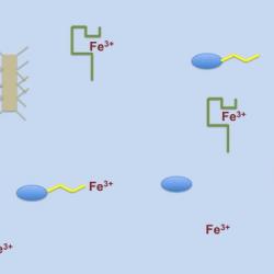 Ligand diagram