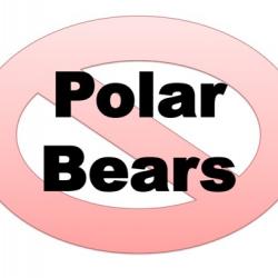 No polar bears