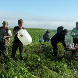 field camp breakfast