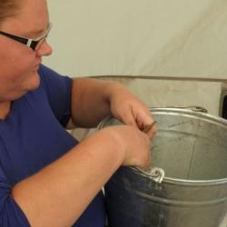 Rebecca washing artifacts