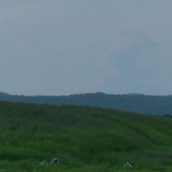 Shiveluch Volcano Eruption