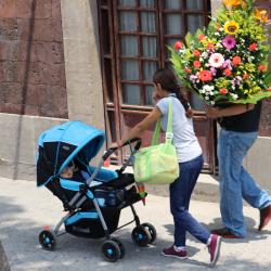 Flowers & Stroller