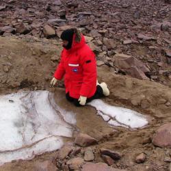 Jackie Hams examines buried ice.