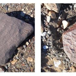 Photograph of progressive wind erosion of Ferrar Dolerite. 