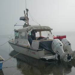 Our vessel, the Boston Whaler.