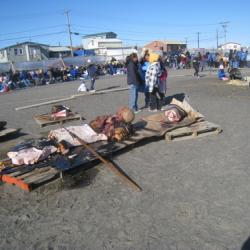 Nalukataq Festival