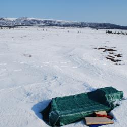 Tundra with snow cover.