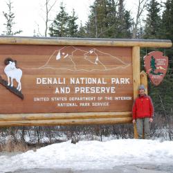 Denali National Park