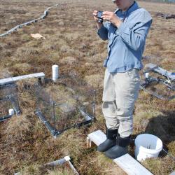 Elizabeth taking NDVI photos