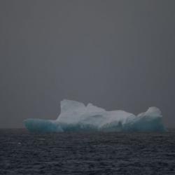 Iceberg