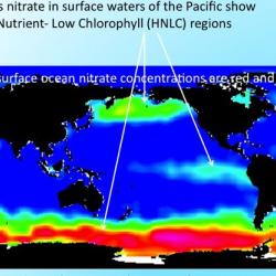 Map of High nutrients - Low chlorophyll areas