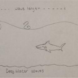 Diagram of deep water waves