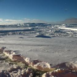 Sunny ice field