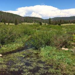 Red Lake stream