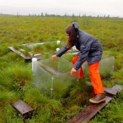 Meghan Taylor Moving Chamber