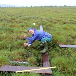 Thin Rod Forced into Tundra