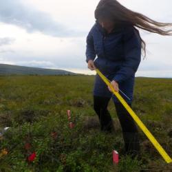 Emily Romano Depth to Permafrost