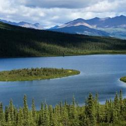 Tundra Lake