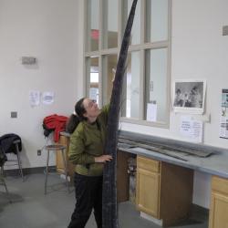 Bowhead whale baleen