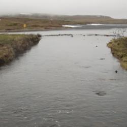 Toolik Inlet