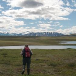 walking across the tundra