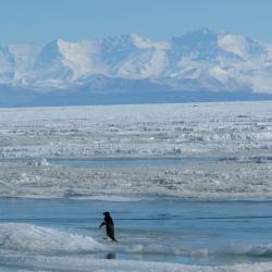 Royal Society Range as seen from McMurdo.