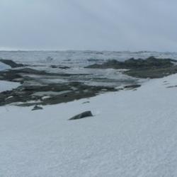 Lake at the bottom of Mt. Hope next to the Ross Ice Shelf