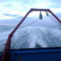 Coming Home:  A panoramic view of the stern of Annika Marie as we were coming home. The Chukchi Sea is behind us.  We were going about 16 knots.