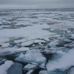 Ice over the Hanna Shoal.  August 2013. 