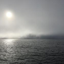 The sun gets low in the sky over calm seas as the fog rolls in! September 5, 2017.  Photo by Lisa Seff