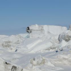 A polar bear sculpture on the ridges!