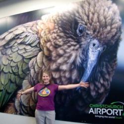 Arrival at the Christchurch airport!